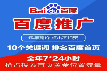 SEO百度推广策略：成功案例解析